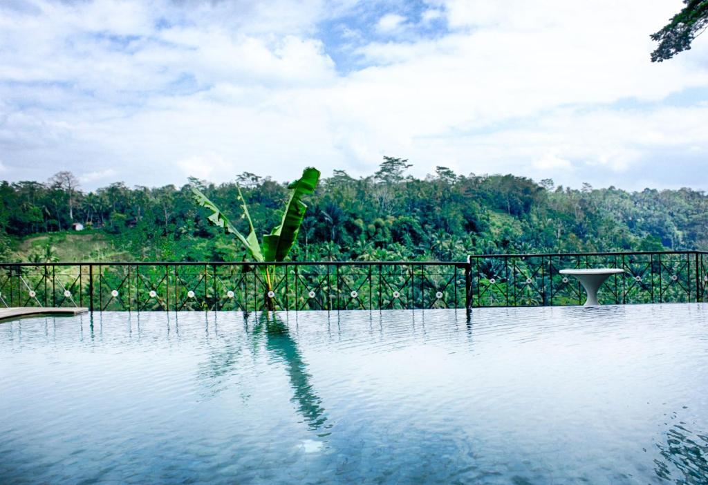 Puri Bunga Resort Ubud Quarto foto